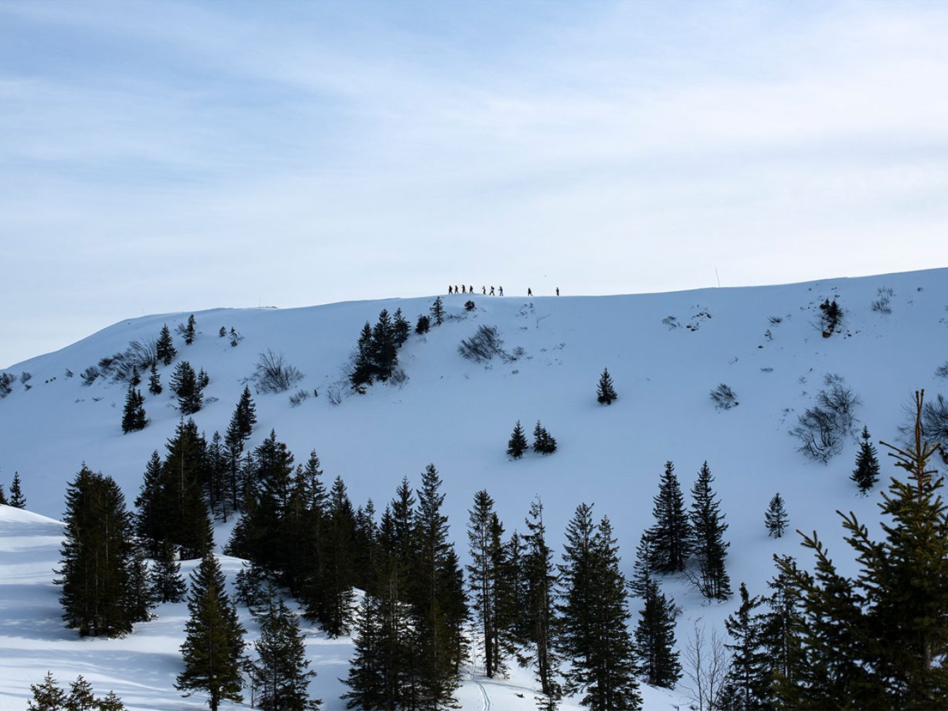Gruppe beim Schneeschuhwandern auf der Niedere in Andelsbuch Vorarlberg