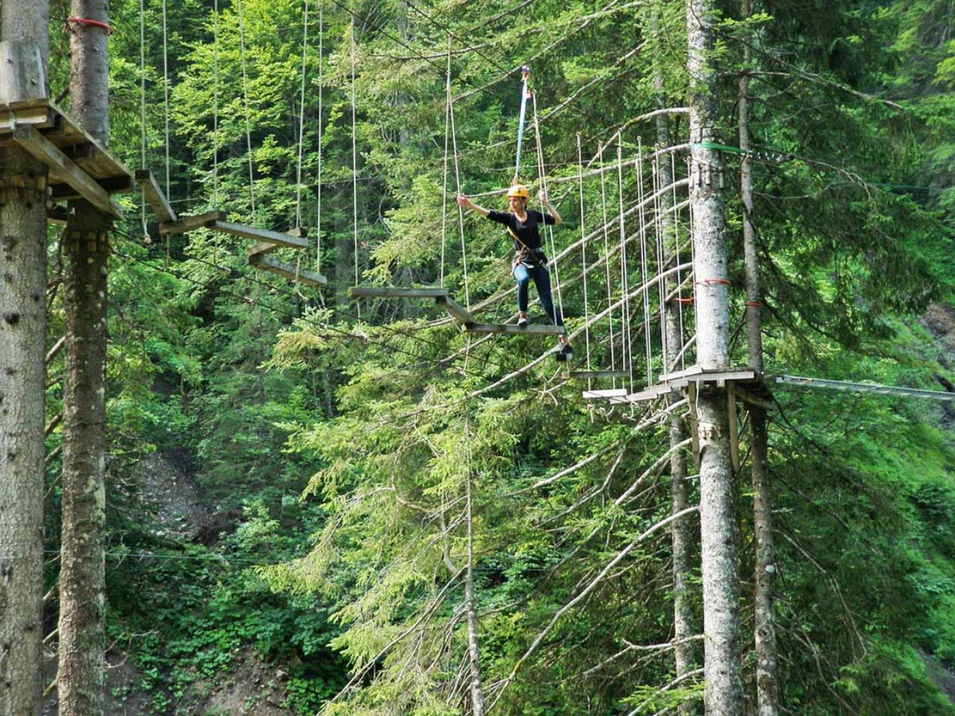 Person am klettern zwischen Bäumen im Abenteuerpark Schröcken