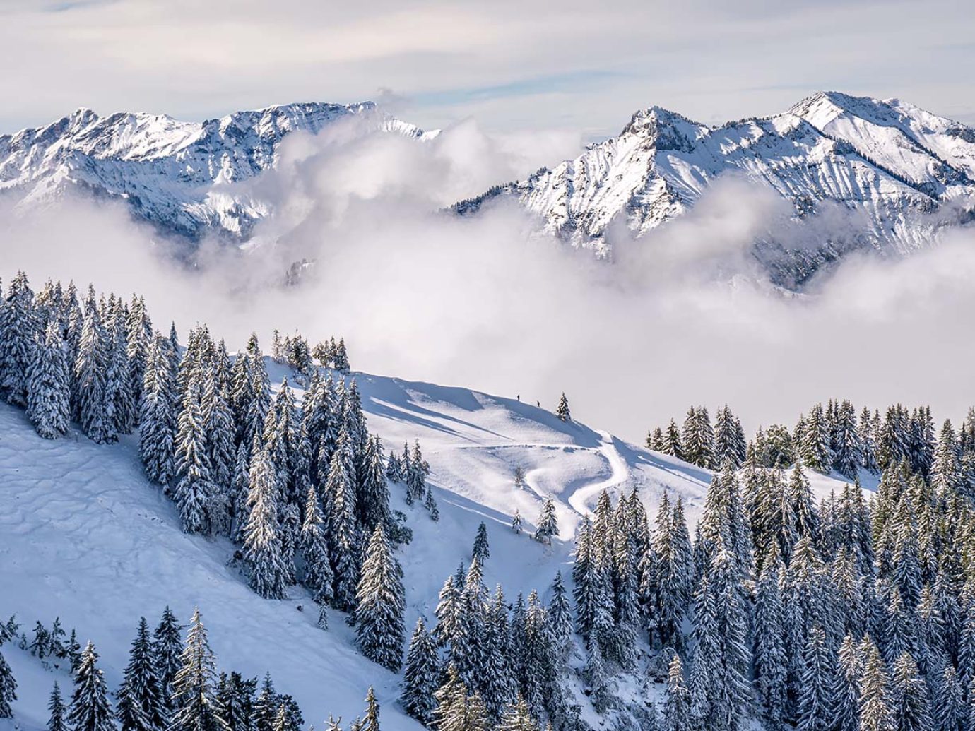 Blick auf Winterlandschaft in Andelsbuch mit verschneiten Bergen und Tannen