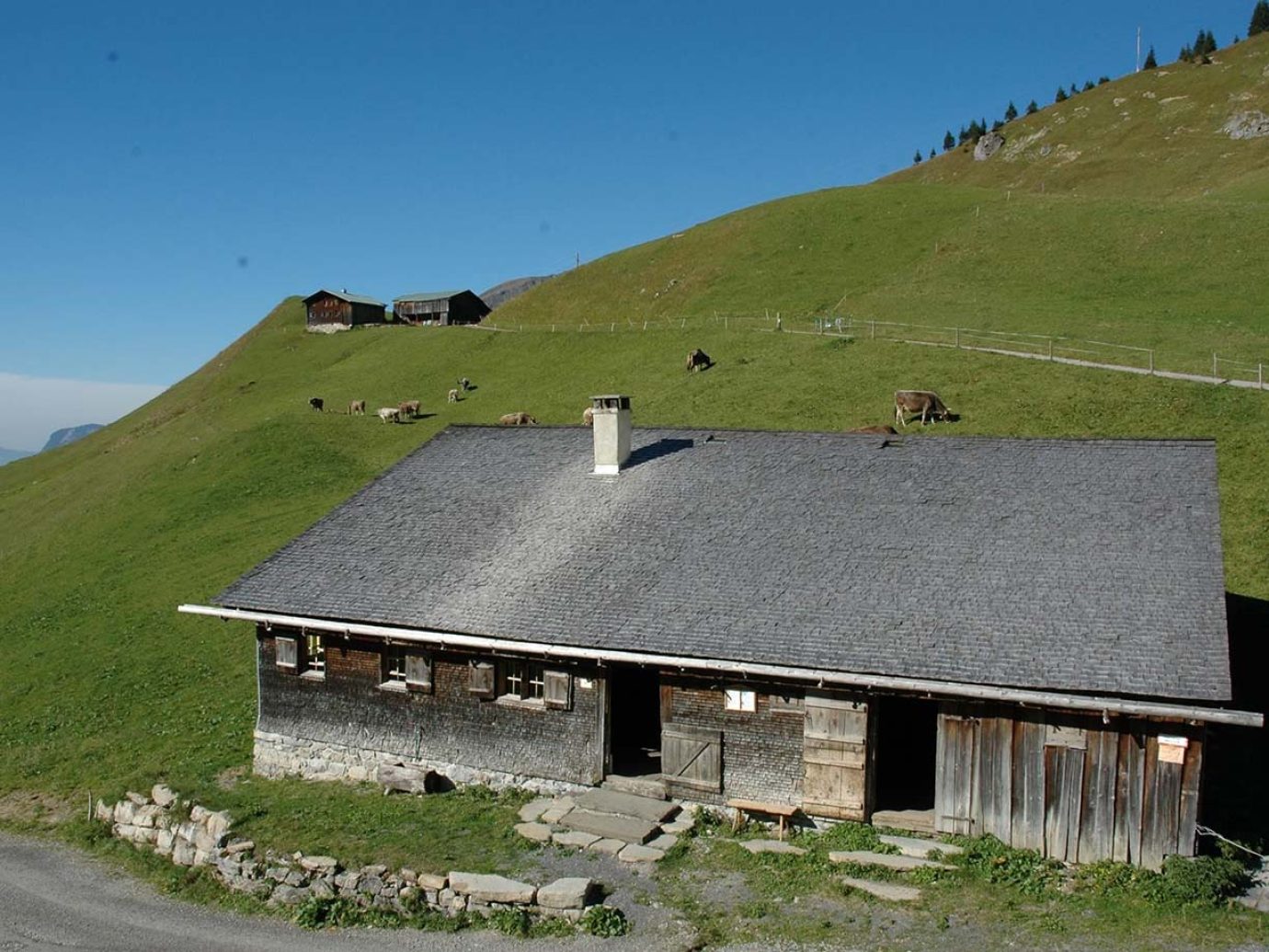 Alpe im Sommer mit Kühen und alter Sennerie im Vordergrund